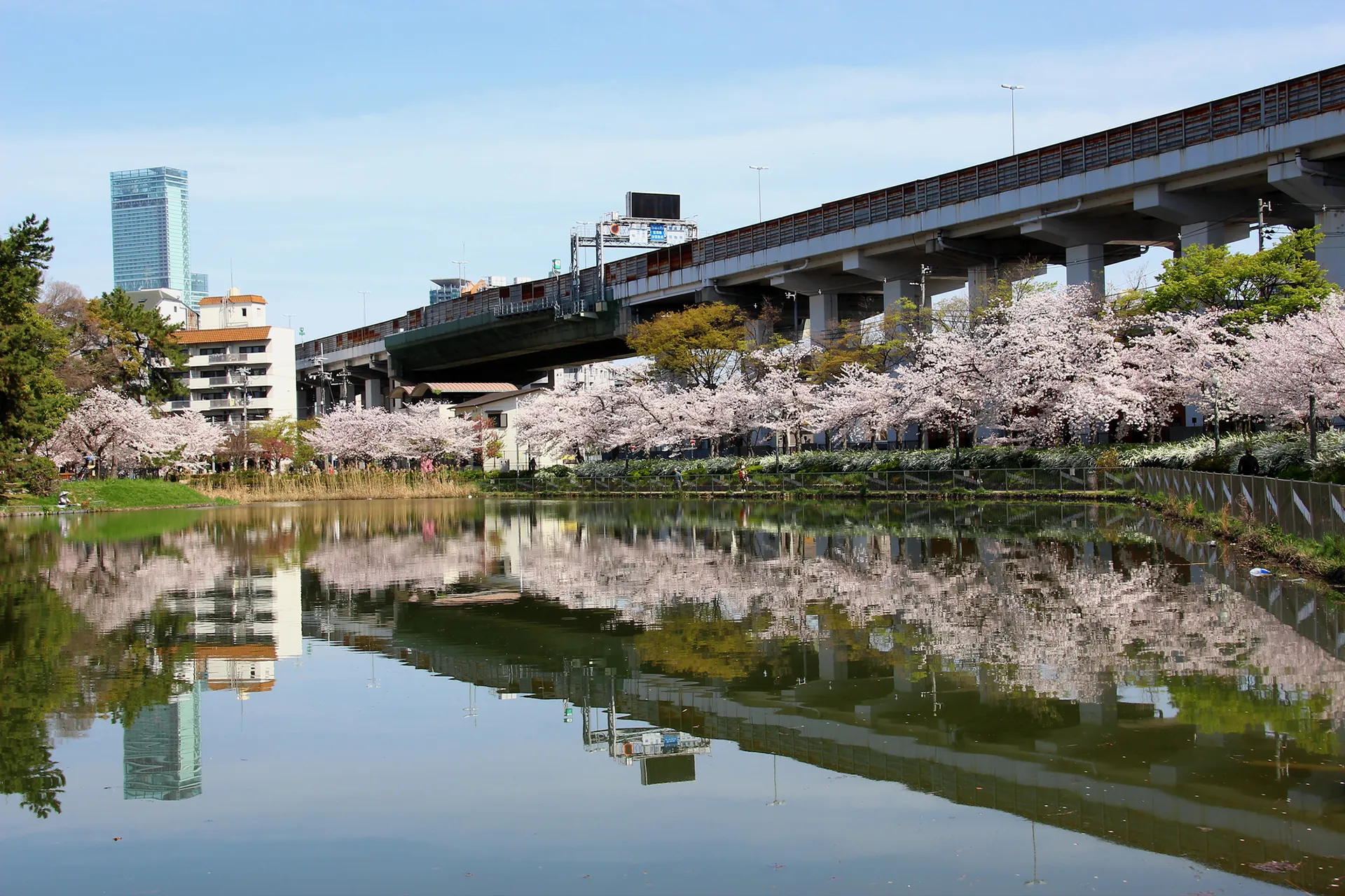 昭和町駅の写真